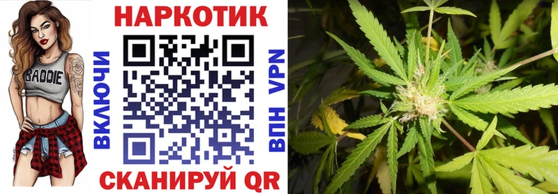 Где найти наркотики Сураж Псилоцибиновые грибы  СОЛЬ  mega   Марихуана  Меф мяу мяу 
