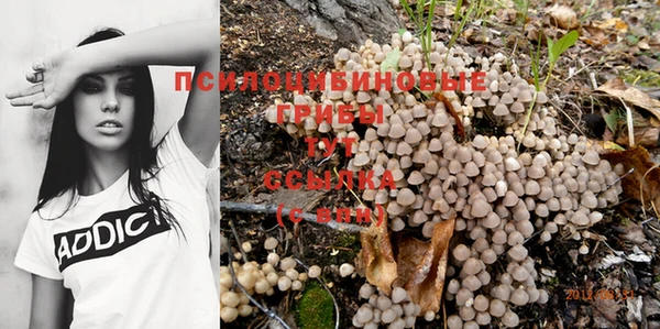 гашиш Володарск