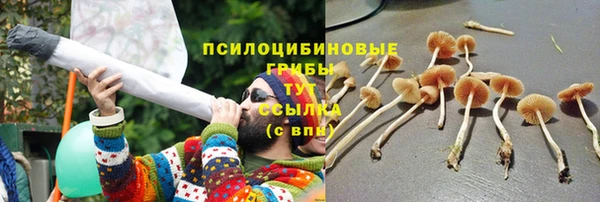 прущие крисы Волосово
