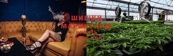 ECSTASY Волоколамск
